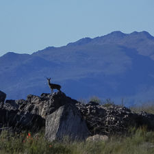Overnight in the Cederberg
