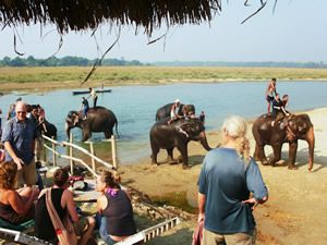 Elephant Sanctuary 2