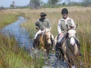 Horseback in Botswana