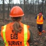 EAB Survey