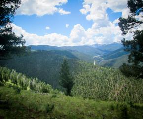 Do You See What I See?