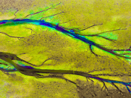 16 X36 XLG d5  Unworldly -Namibia Botswana V4 24 x 36