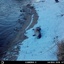Otter2