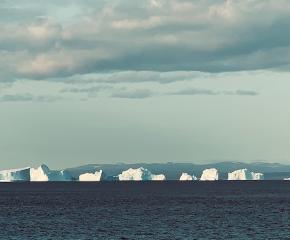 Saving the Behemoth of the Ice: The Polar Bear