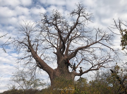 Evidence of Hope-1-9