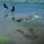 3 Skimmer Landing-titled