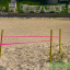 5 Sea Turtle Nest - Real or Decoy-titled