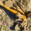 11 Sea-Tossed Doll-edited
