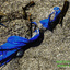 12 Busted Blue Beach Ball-edited