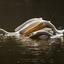 3 IMG_0360