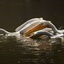 1835_3_IMG_0360.387fcc86