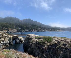 Celebrating World Oceans Day:  5 Ways to Say Thank You