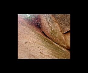 Outsider Nature Art Photography