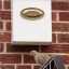 Dove_and_a_Doorbell