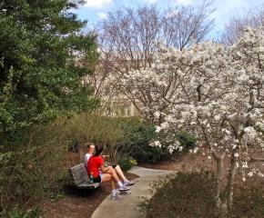 Urban Wild: Getting Outside In the City