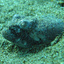 Buhura Dive 1 Check Out 064