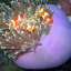 Buhura Dive Resort House Reef 128