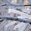 Ice-Storm-3