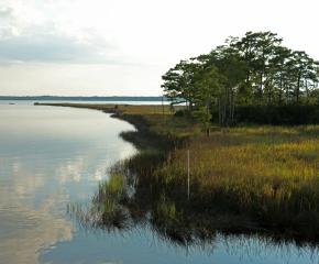 Weeks Bay National Estuarine Research Reserve