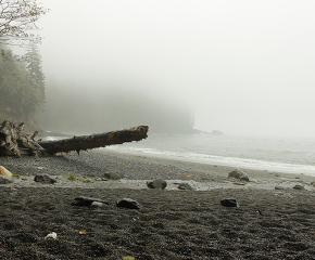 Waking up to Vancouver Island's Diversity