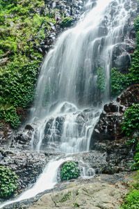 Tristania Falls Dorrigo