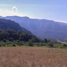 My life in the Naimina Enkiyio Forest, Part 2