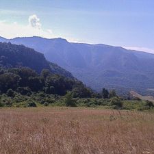 The hills of the Naimina Enkiyio Forest