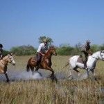 Horseback in Botswana