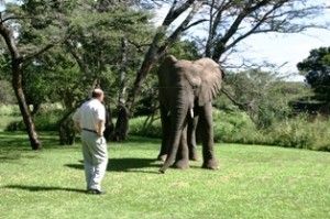 Anthony with elephant