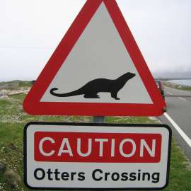 English county creates otter underpass