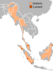 A range map of the Sumatran Rhino in Southeast Asia