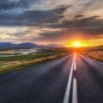 Cyclists and Pedestrians Help Wildlife with Roadkill Survey