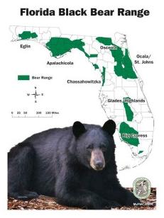 Black Bear Range Black Bear Range