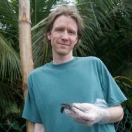 SEEtheWILD and Saving the Sea Turtles Part I-VI