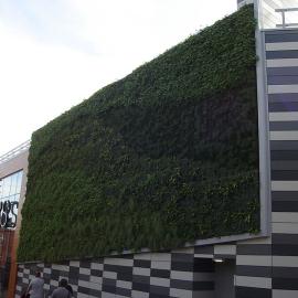 The Power of Plants in Urban Pollution Reduction