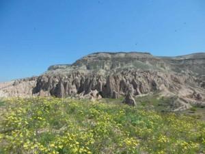 Sustainable Design 5 Sustainable Design 5