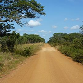 Tanzania Denuded